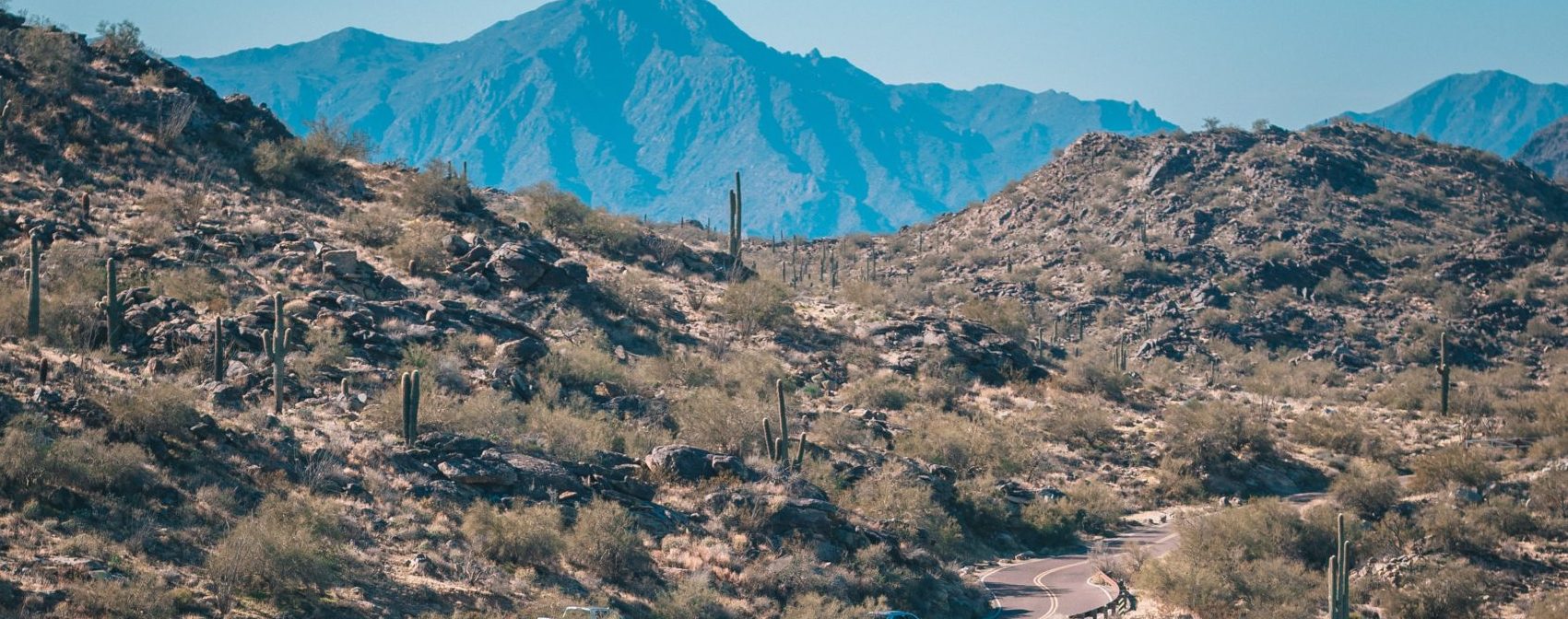 A desert landscape you will see from many spots with top Scottsdale views.