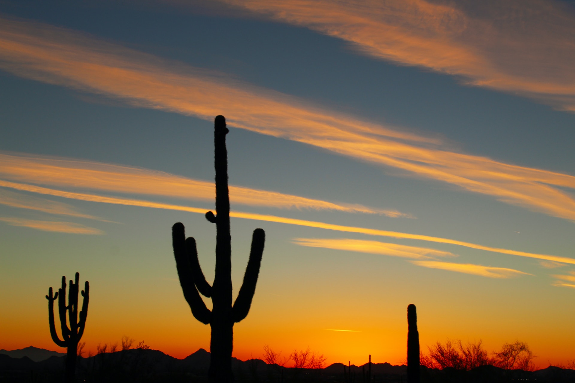 Scottsdale desert at sunset