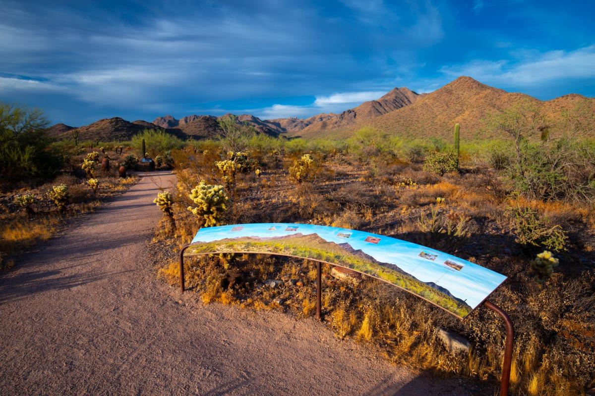 Top 5 Hiking Trails in Scottsdale, Arizona